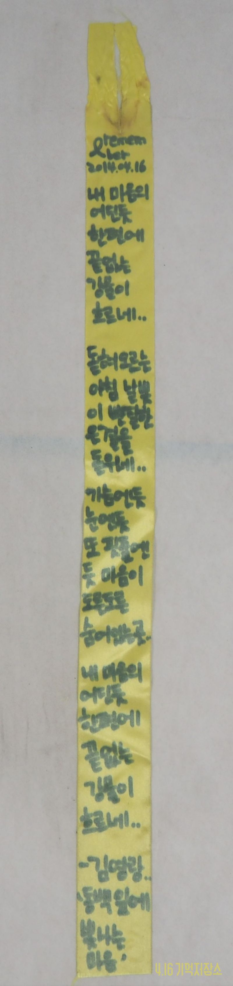 김영란의 동백잎에 빛나는 마음이 적힌 리본