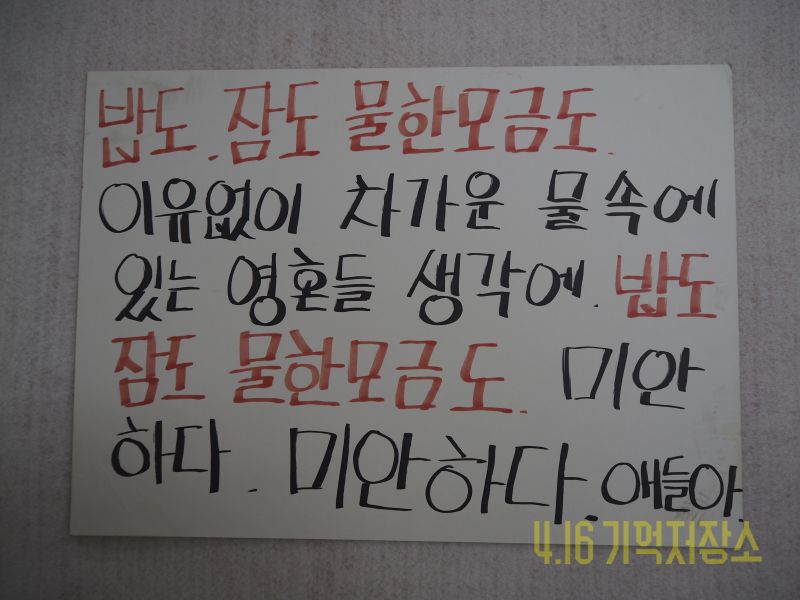 밥도,잠도 물한모금도 이유없이 착운 물속에 있는 영혼들 생각에 밥도 잠도 물한모금도 미안하다,미안하다 애들아